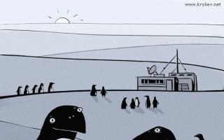 Профессия переворачиватель пингвинов, должностная инструкция Профессия человека который поднимает пингвинов