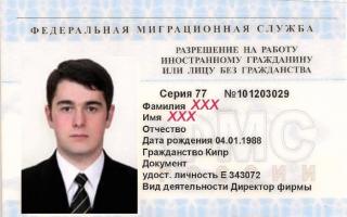 Правила и порядок приема на работу иностранных граждан в российской федерации